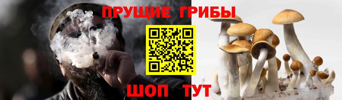 Галлюциногенные грибы Magic Shrooms Тосно