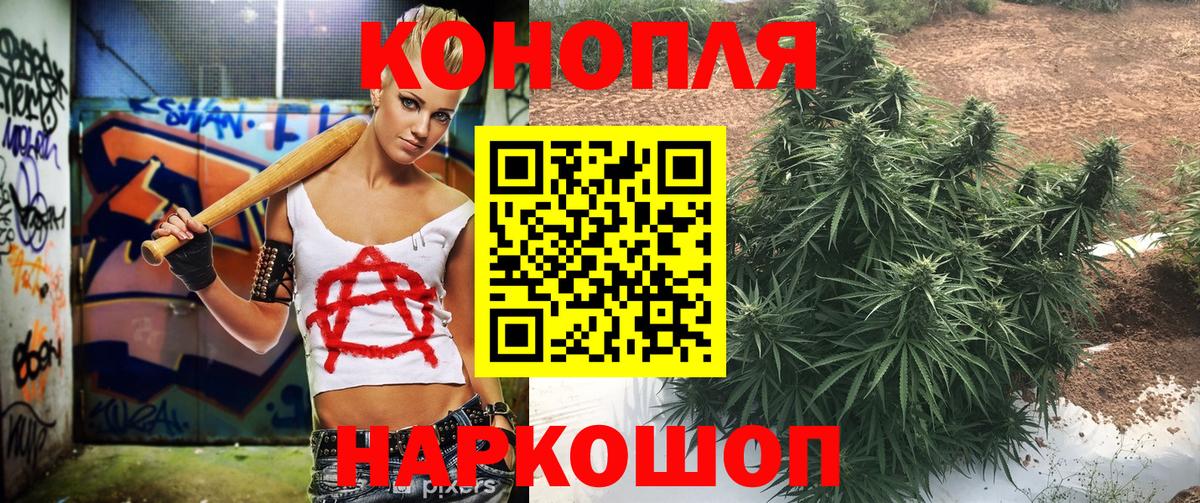 Бошки Шишки сатива  Вход с VPN  Канабис AK-47  Тосно 